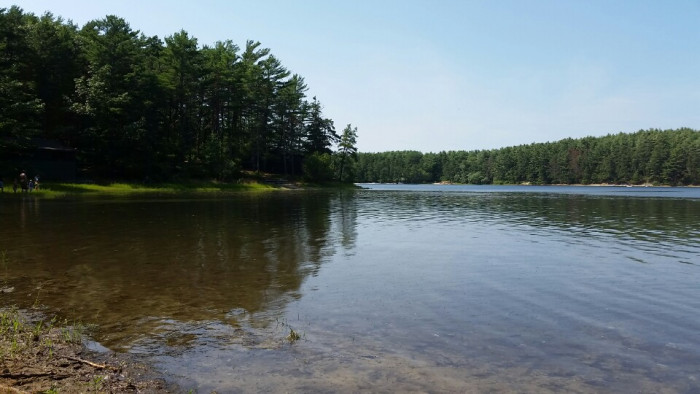 Myles Standish State Forest