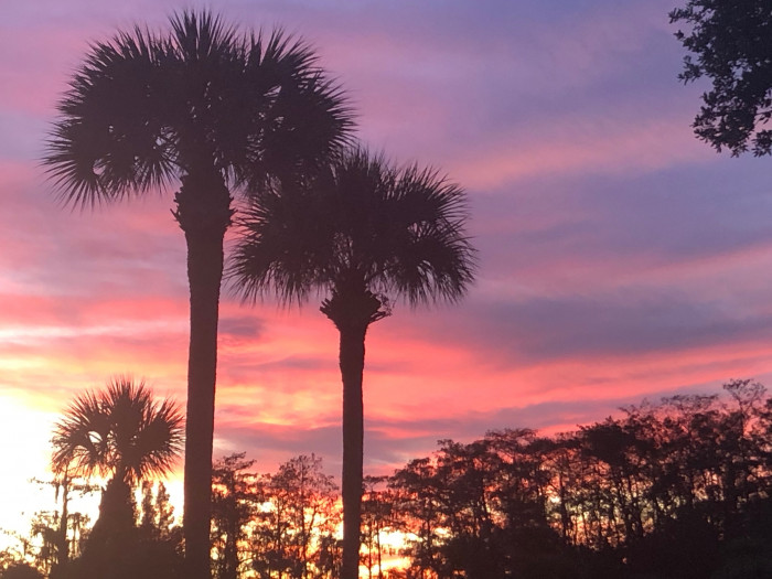 Big Cypress RV Park