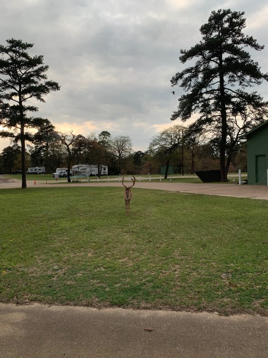 Camp Tonkawa Springs RV Park & Campground