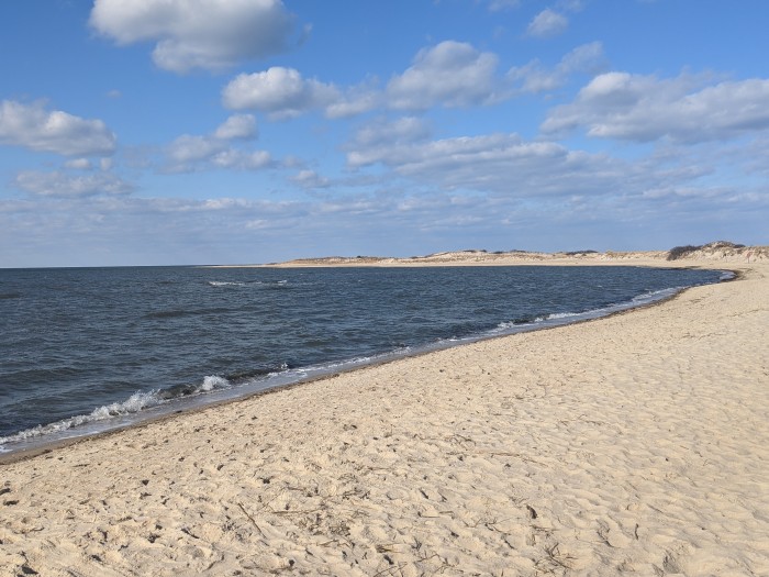 Cape Henlopen State Park Campground