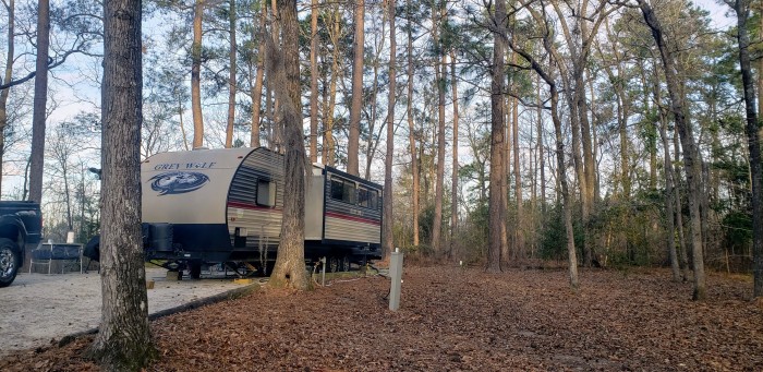 Barnwell State Park Campground