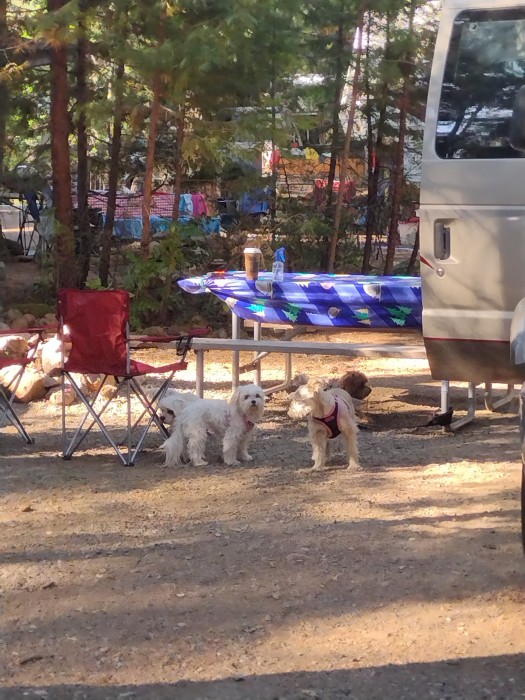 Trinity Lake KOA Holiday