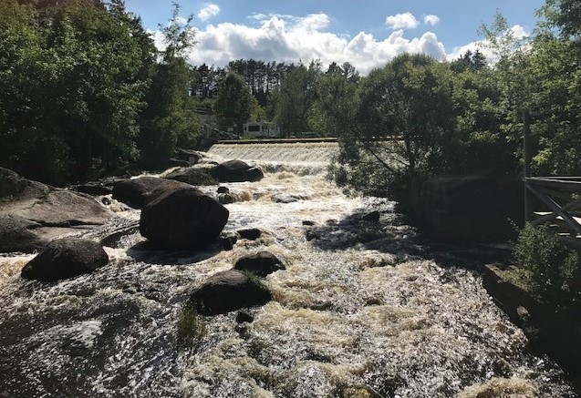 Tilleda Falls Campground