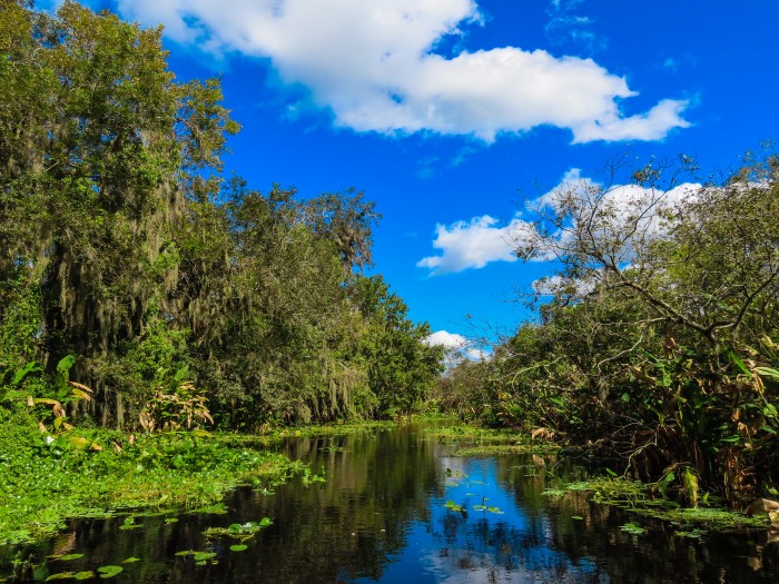 Blue Spring State Park