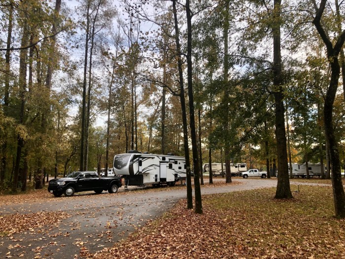 Jennings Ferry Campground