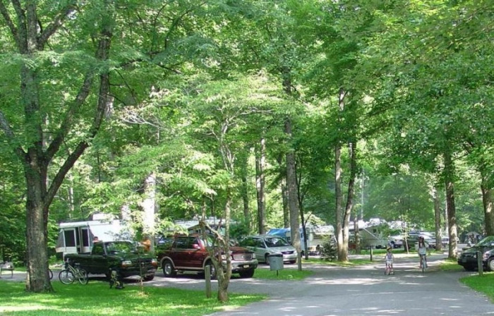 Roan Mountain State Park Campground