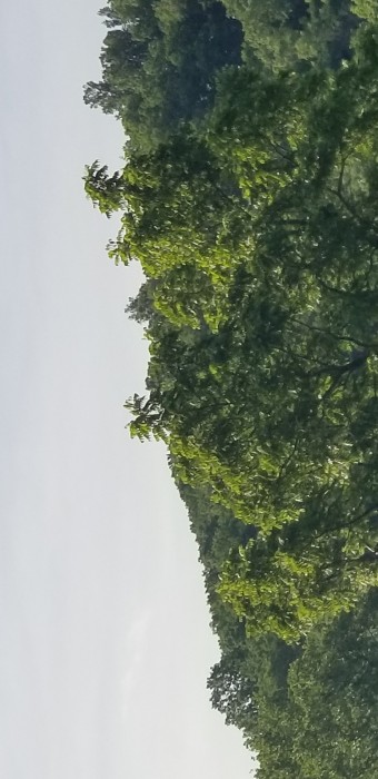 River of Life Farm