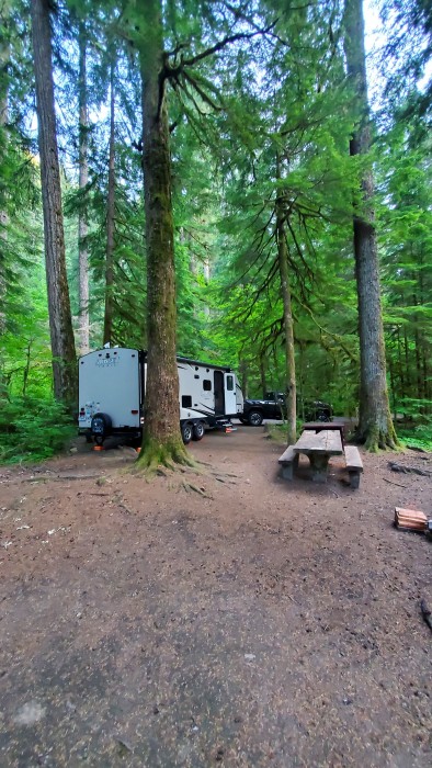 Ohanapecosh Campground