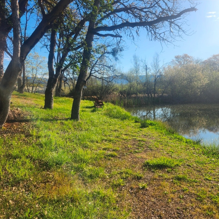 Medford Oaks RV Park & Campground