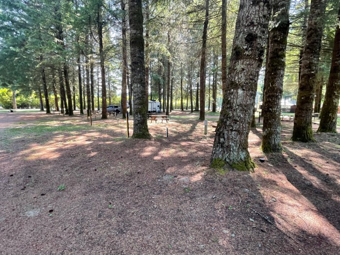Shady Firs RV Park & Campground