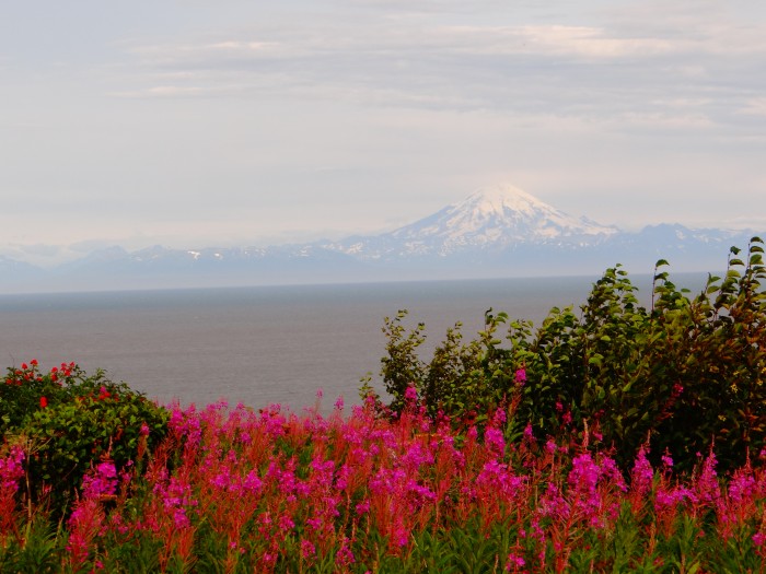 Scenic View RV Park