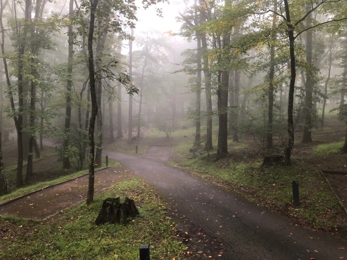 Rocky Knob Campground