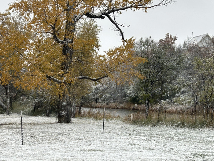 Chief Joseph Park