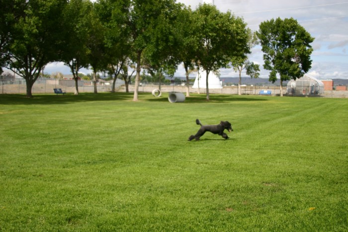 Homesteader Park