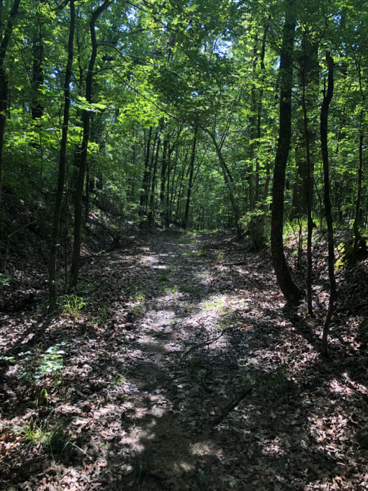 George P Cossar State Park