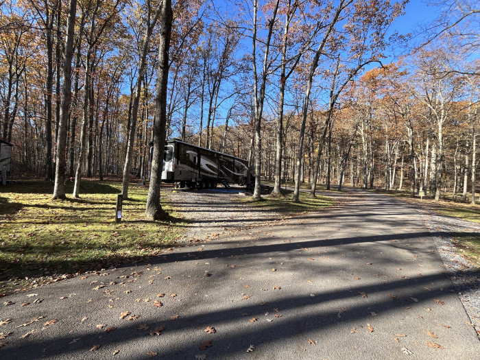 Black Moshannon State Park Campground