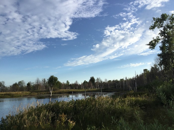 Tawas Point State Park Campground