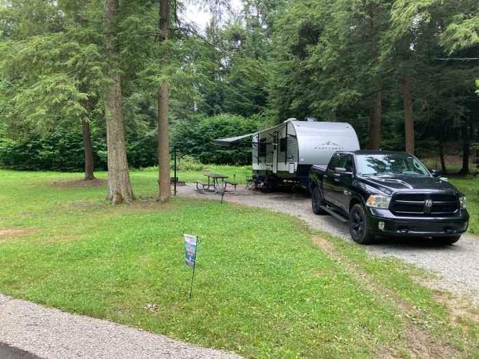 Cook Forest State Park