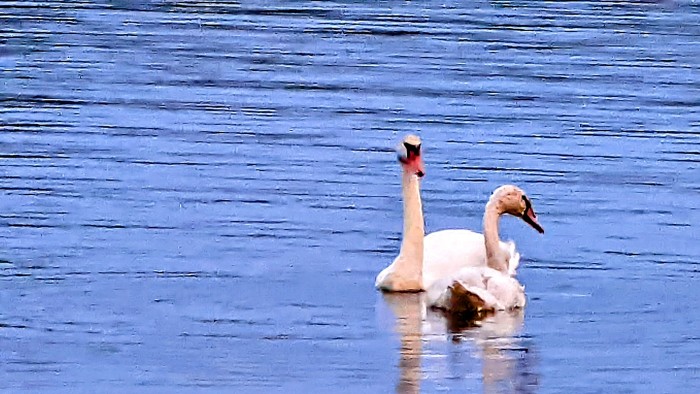 Waterloo Recreation Area