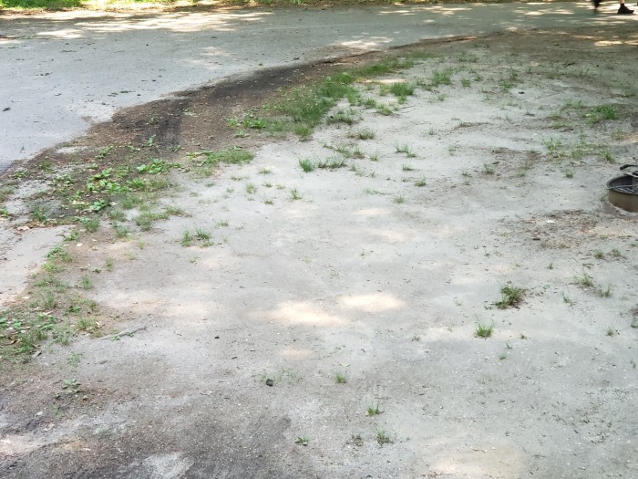 Bethel Recreation Area – Park and FamCamp