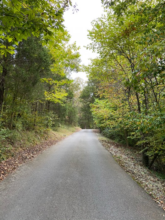 Dixon Springs State Park
