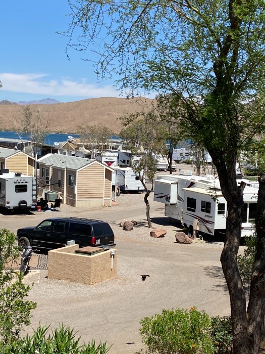 Havasu Springs Resort
