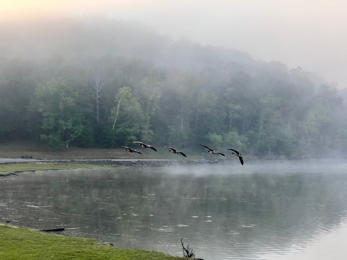 Wappapello State Park – Asher Creek