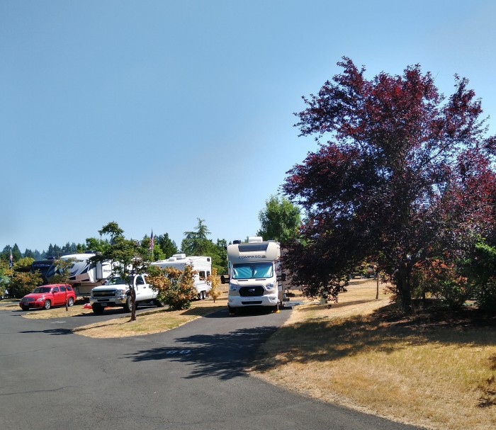Barton Park Camping