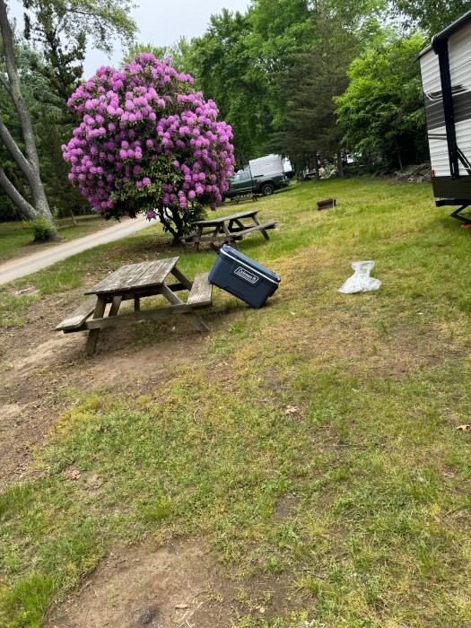 Ross Hill Park Family Campground