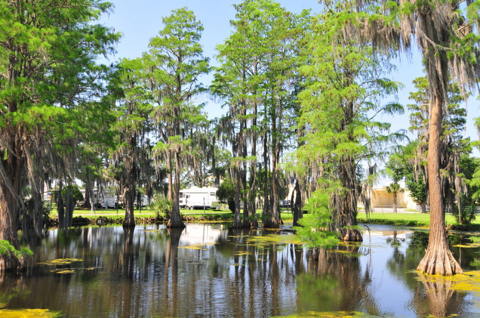 Encore Winter Garden RV Resort