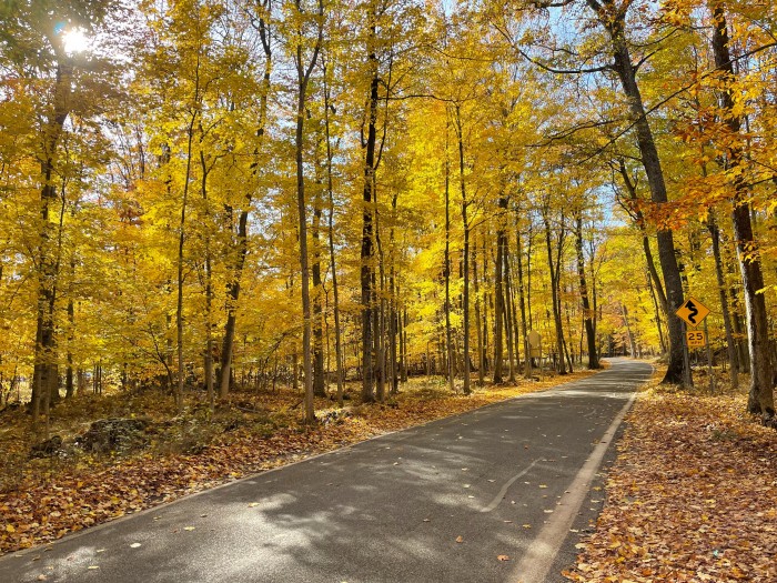 Wilderness State Park Campground