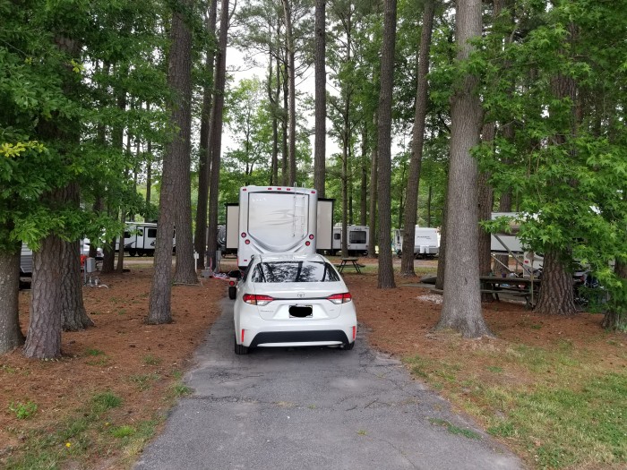 Chesapeake Campground