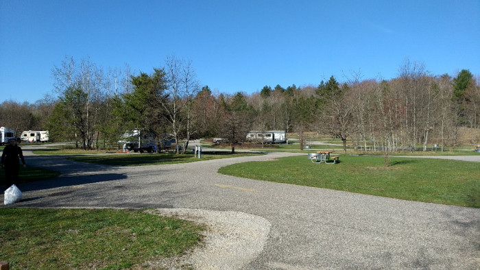 Hartwick Pines State Park