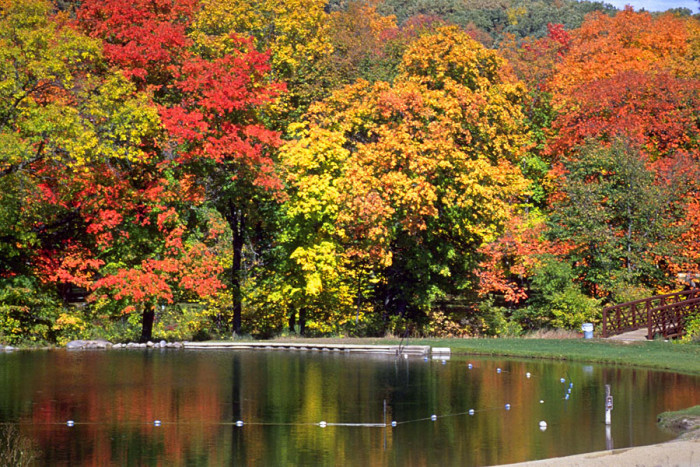 Camden State Park