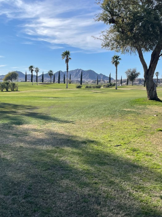 Cocopah Bend RV and Golf Resort