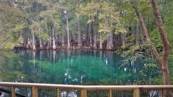 Manatee Springs State Park