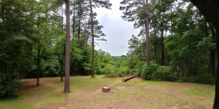 Poinsett State Park