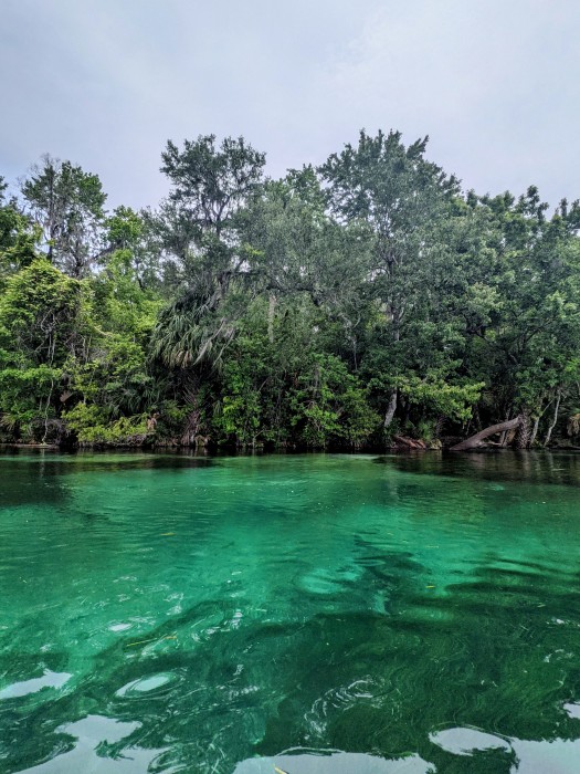 Rainbow Springs State Park
