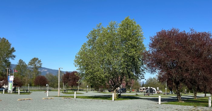 Sedro-Woolley Riverfront Park