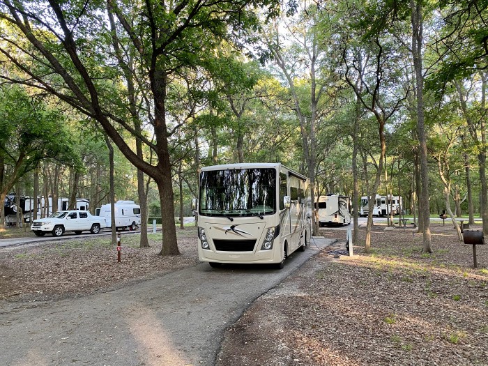 Palmetto State Park