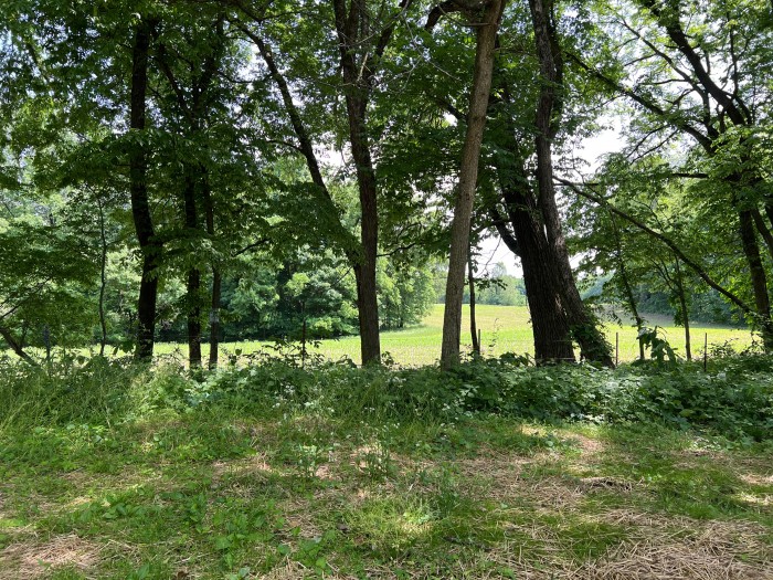 Ouabache Trails Park Campground