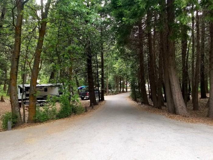 San Bernardino Natl Forest/Dogwood Campground