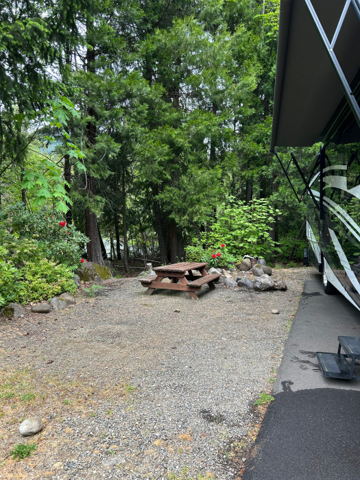 Camp Yale