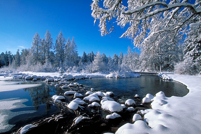 Itasca State Park