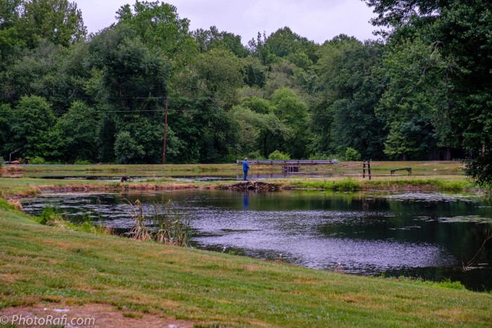Old Cedar Campground