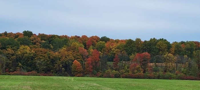 Holiday Hill Campground