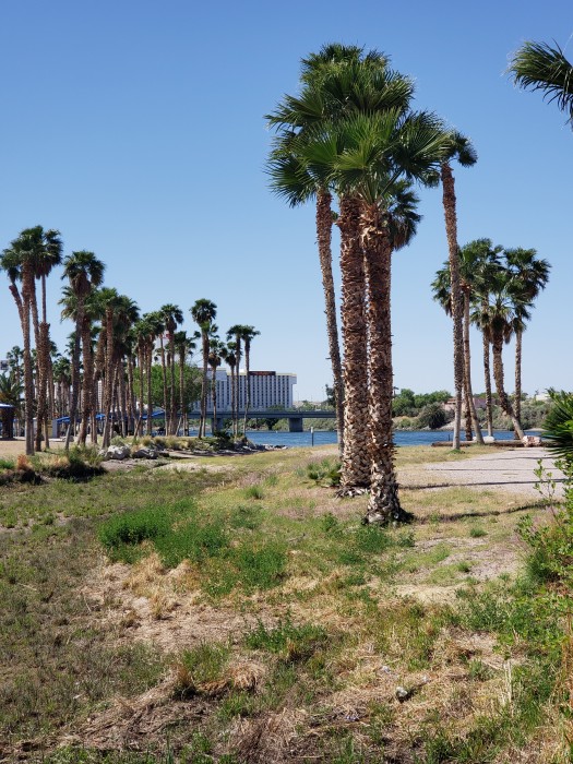 Davis Camp Park