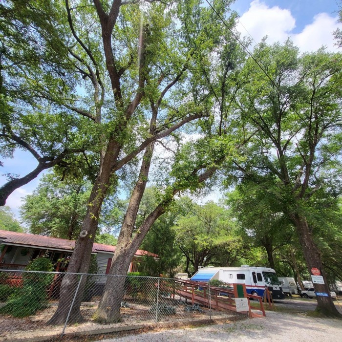 Wandering Oaks RV Park