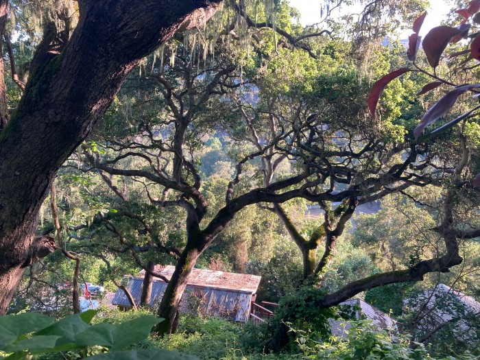 Saddle Mountain Ranch Campground