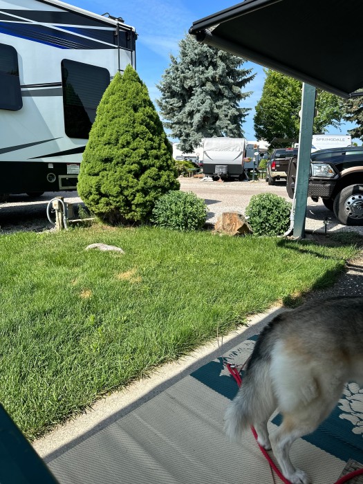 Wild Rose RV Park